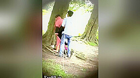 Secretly Recorded Pakistani Outdoor Sex In Park